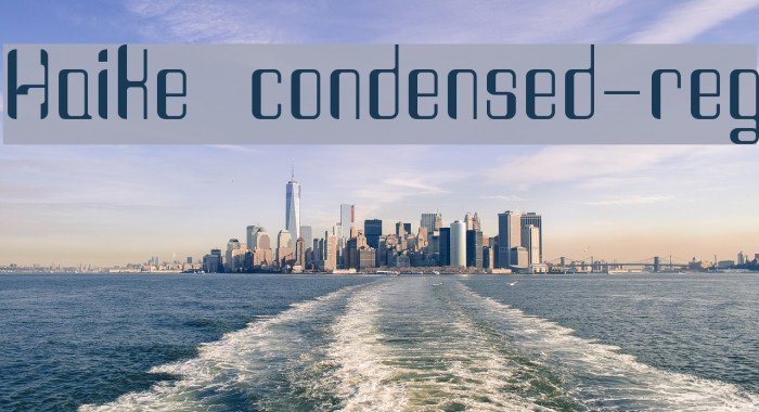 Haike  condensed-reg Example 3