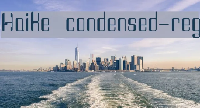 Haike  condensed-reg Example 3