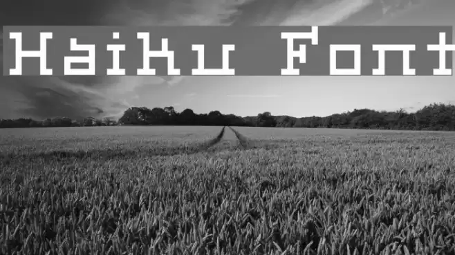 Haiku Font examples