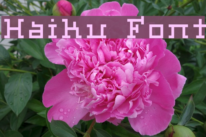 Haiku Font examples