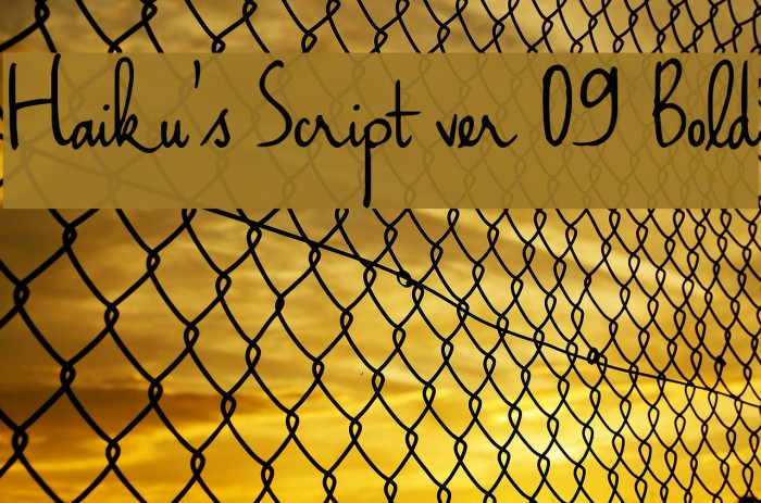 Haiku's Script ver 09 Bold Font examples