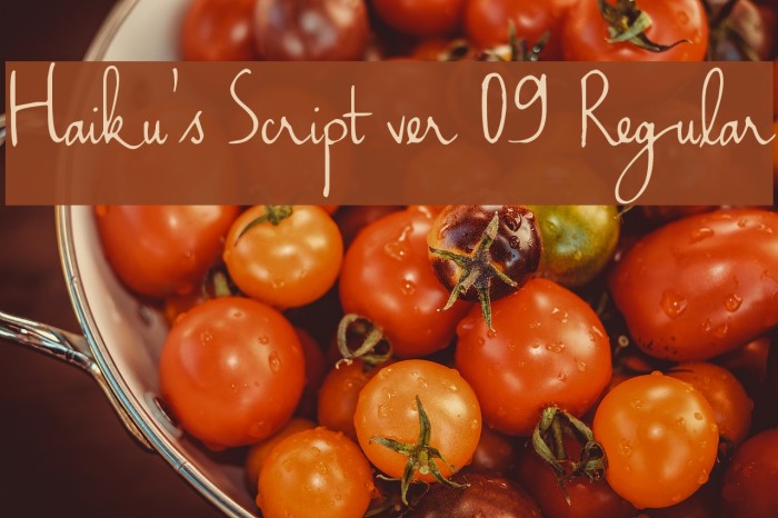 Haiku's Script ver 09 Regular Font examples