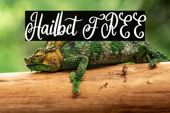Hailbet FREE Example 1