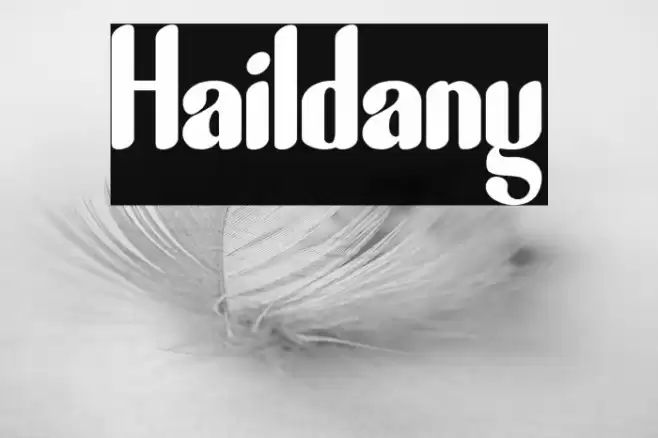 Haildany Font examples