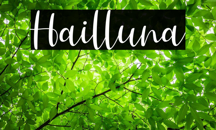 Hailluna لخطوط تنزيل examples