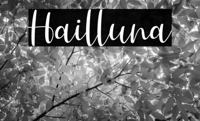 Hailluna Font examples