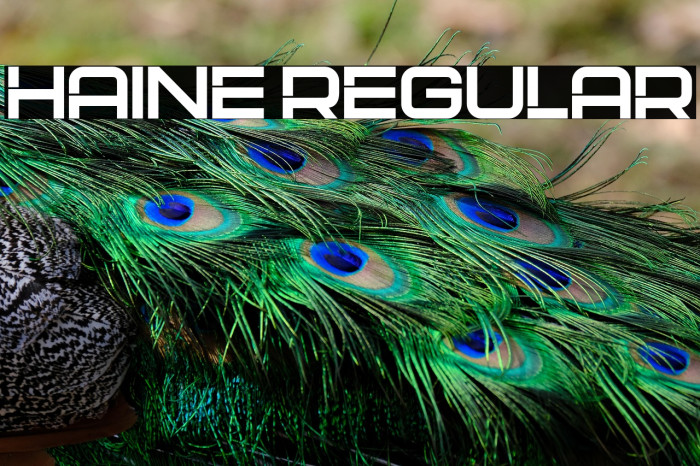 Haine Regular Example 2