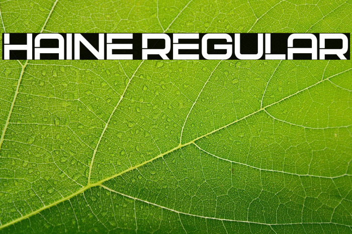 Haine Regular Example 3