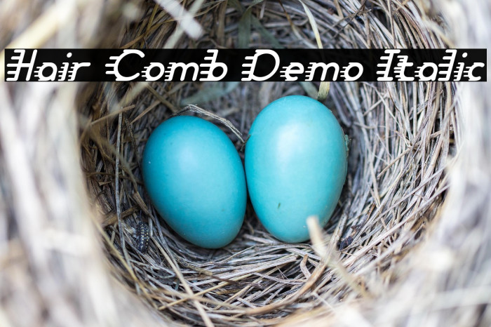 Hair Comb Demo Italic Example 2