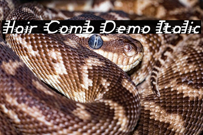 Hair Comb Demo Italic Example 3