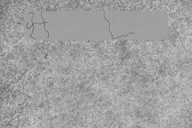 Hair Line Font examples