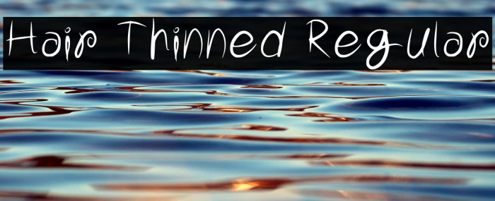 Hair Thinned Regular Example 3