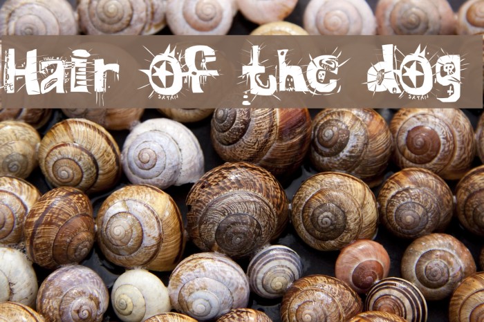 Hair of the dog Font examples