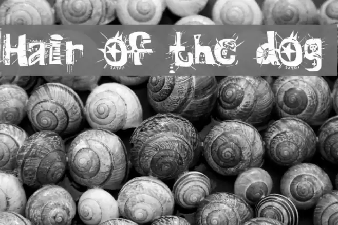 Hair of the dog Font examples