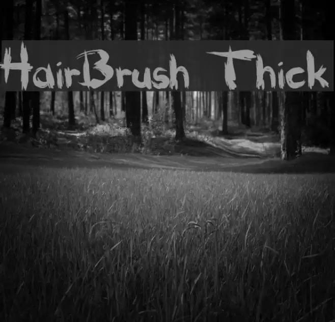 HairBrush Thick Polices examples