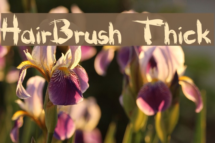 HairBrush Thick Font examples