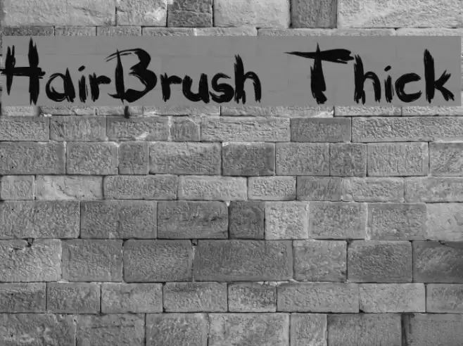 HairBrush Thick Polices examples