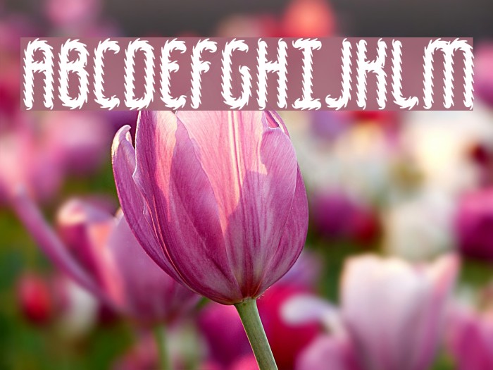 Hairball BRK Font examples