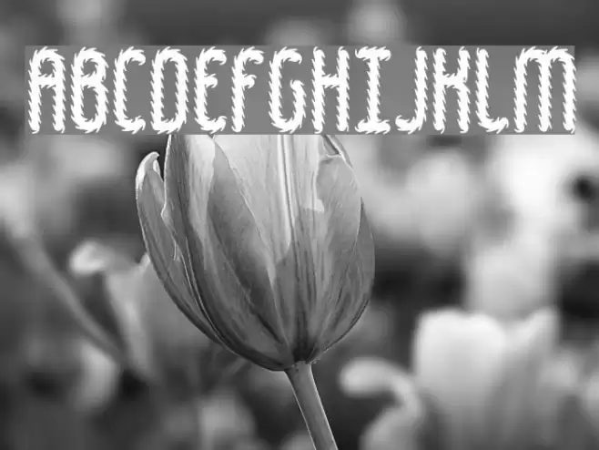 Hairball BRK Font examples