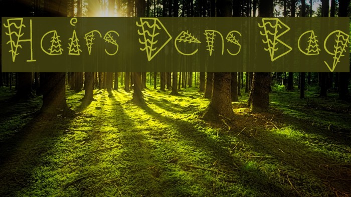 Hairs Dens Bag Font examples