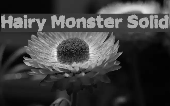 Hairy Monster Solid Font examples