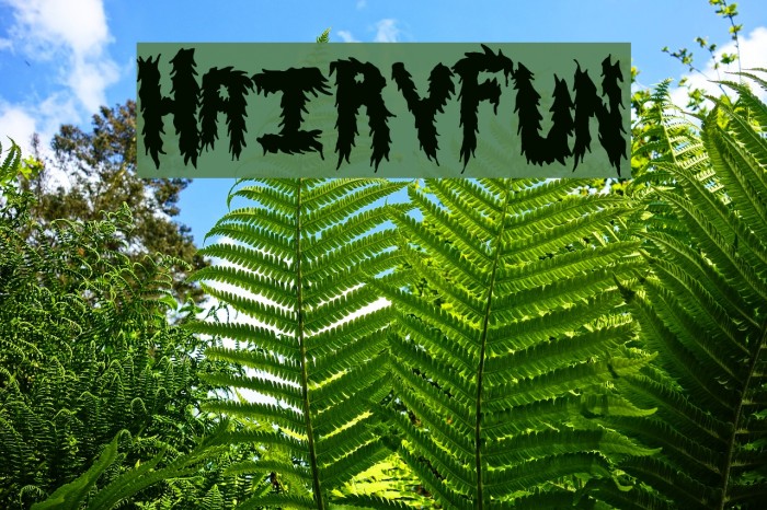 HairyFun Font examples