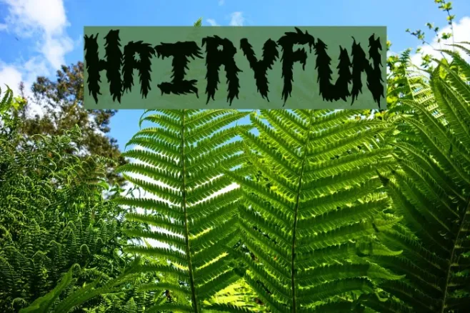 HairyFun Example 3