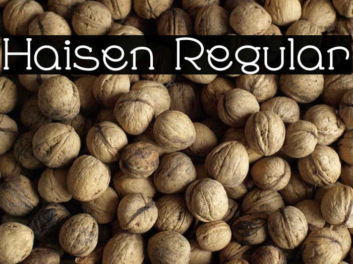 Haisen Regular Example 2