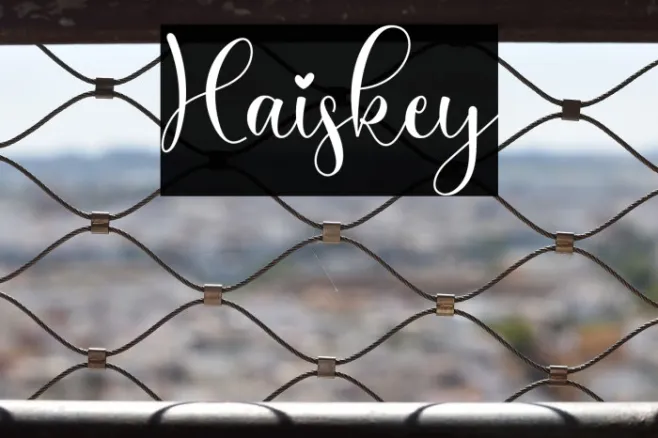 Haiskey Example 2