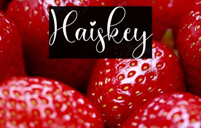 Haiskey Example 3