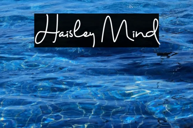 Haisley Mind Example 2