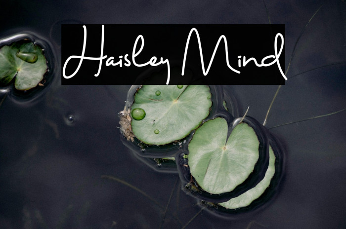 Haisley Mind Example 3