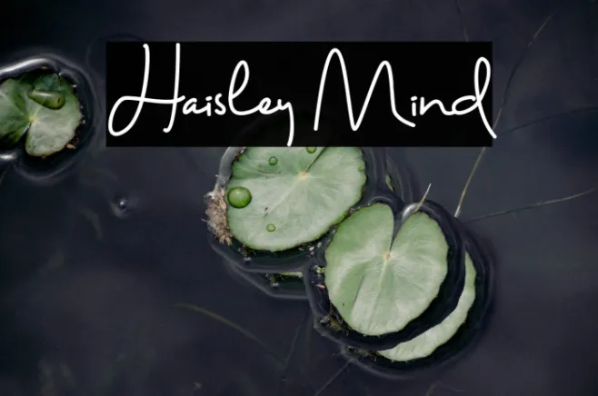 Haisley Mind Example 3