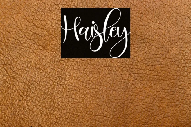 Haisley Example 2