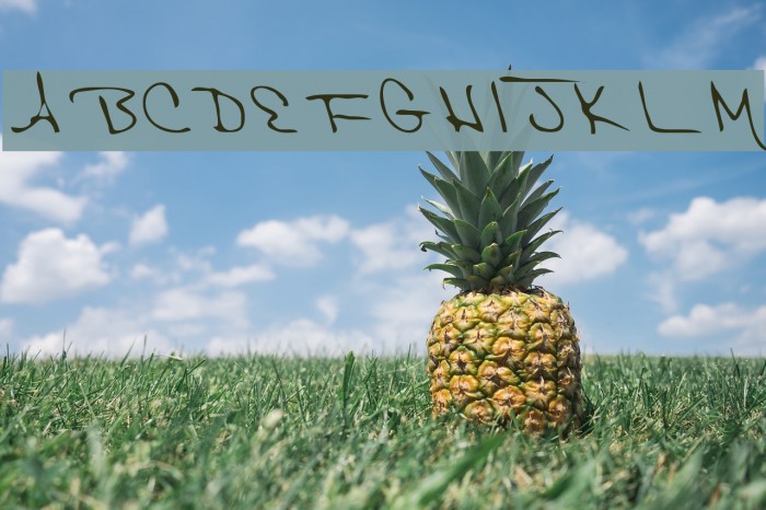 Hak Regular Font examples