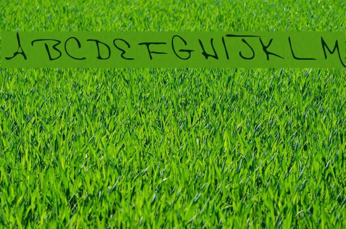 Hak Regular Font examples