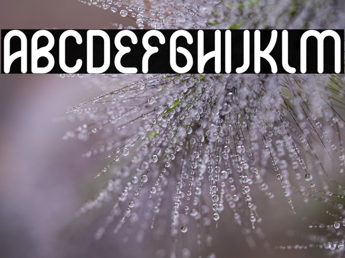 Hakone Bold Bold Example 3