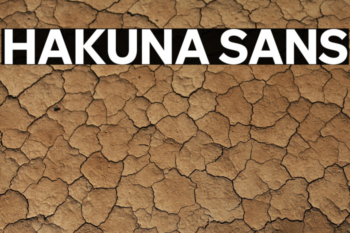 Hakuna Sans Example 1