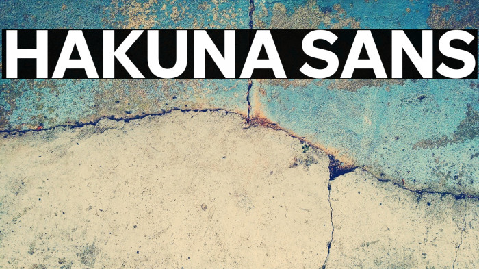 Hakuna Sans Example 2