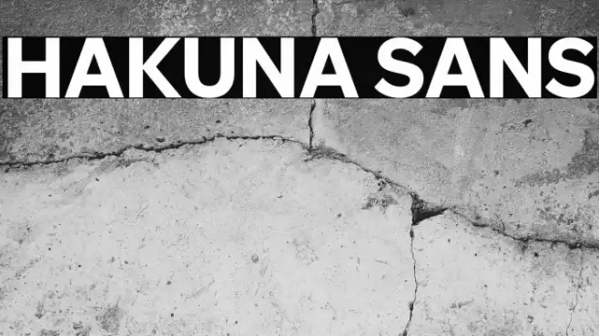 Hakuna Sans Caratteri examples