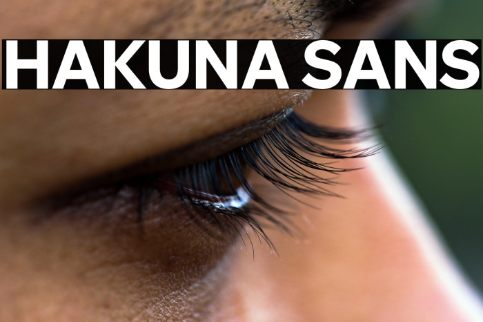 Hakuna Sans Example 3
