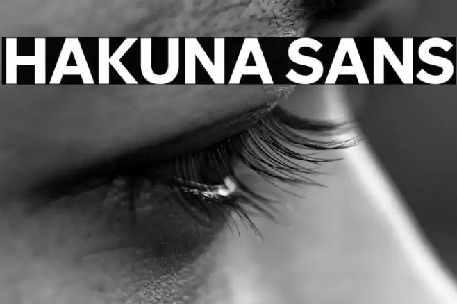 Hakuna Sans Caratteri examples