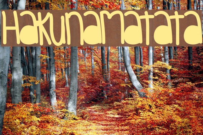 HakunaMatata Font examples