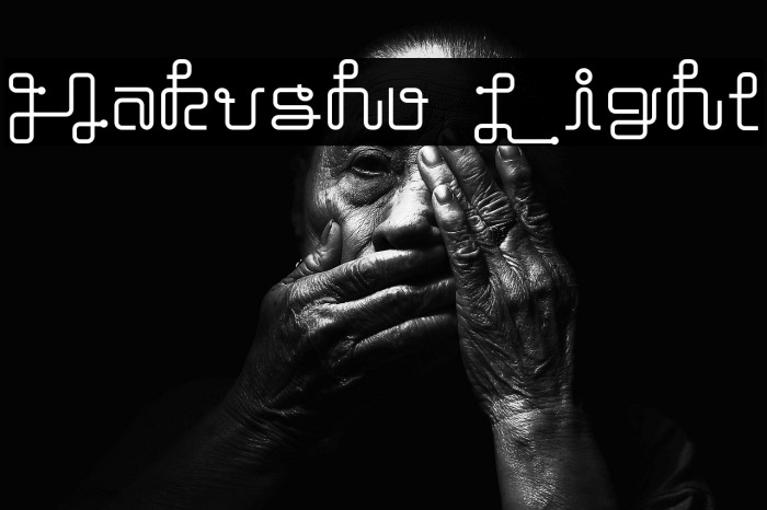 Hakusho Light Example 1