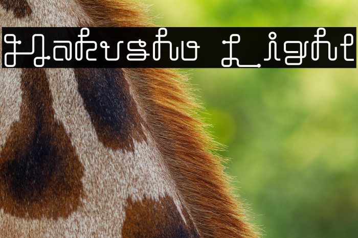 Hakusho Light Example 2