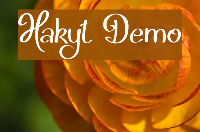 Hakyt Demo Font examples
