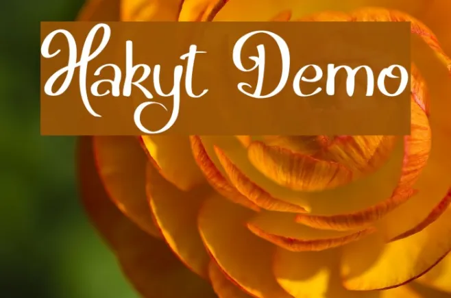 Hakyt Demo Example 2
