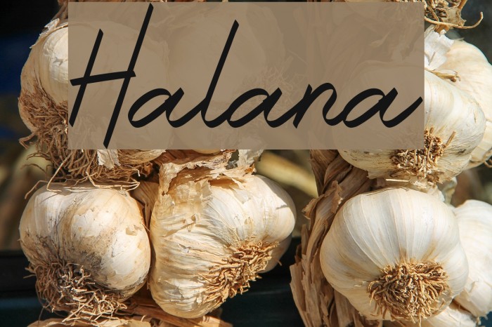 Halana Font examples