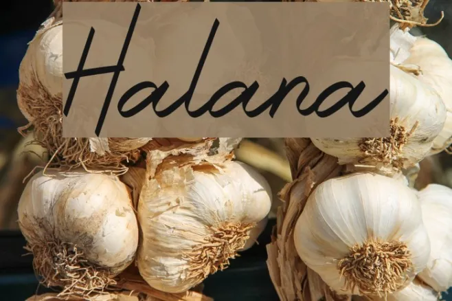 Halana Example 2