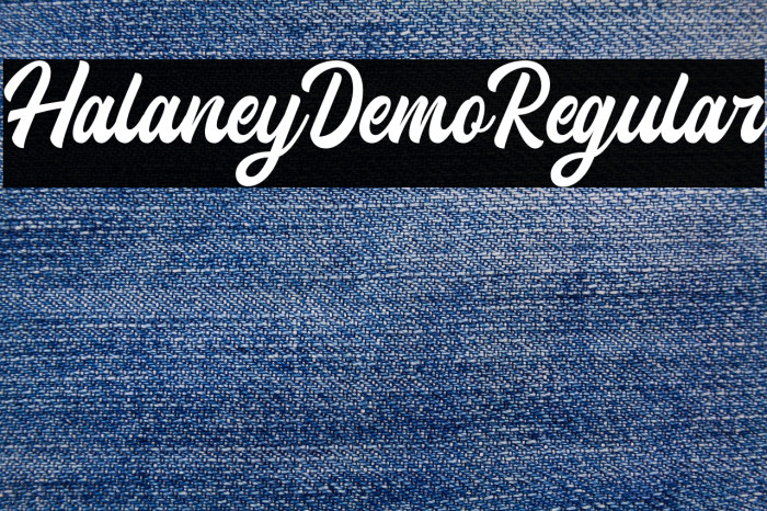 HalaneyDemo-Regular Example 2